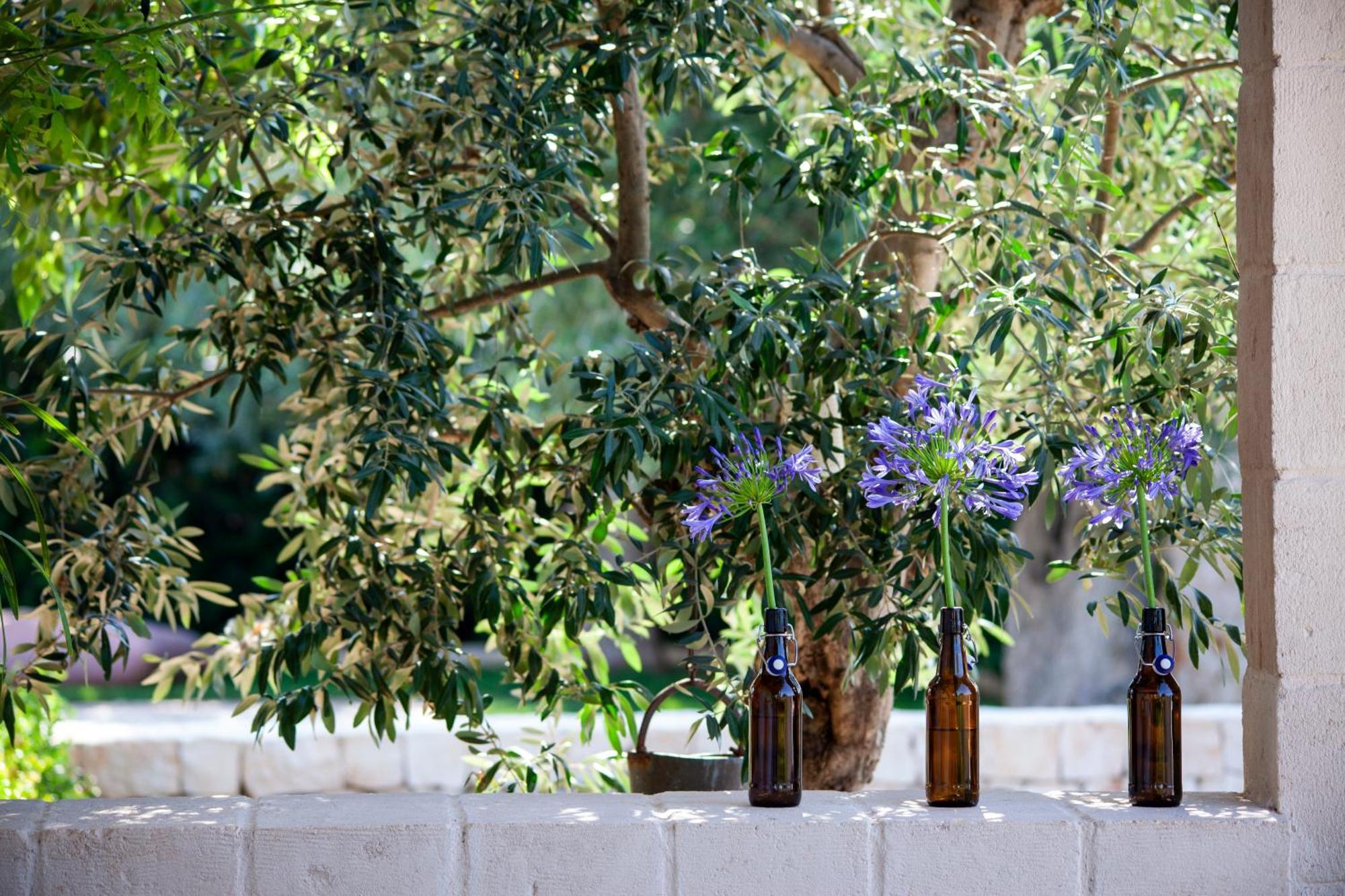 Casa Mia In Puglia Guest House Conversano Luaran gambar